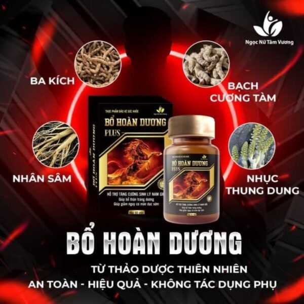 Bổ hoàn dương plus aloduocsy (1)