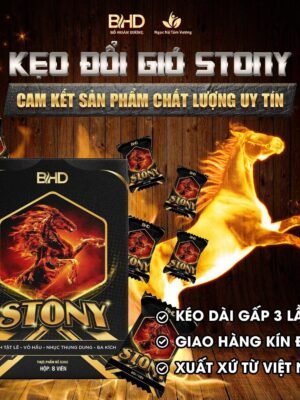 KẸO ĐỔI GIÓ STONY ALODUOCSY (3)